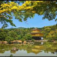 Kinkaku-ji Temple