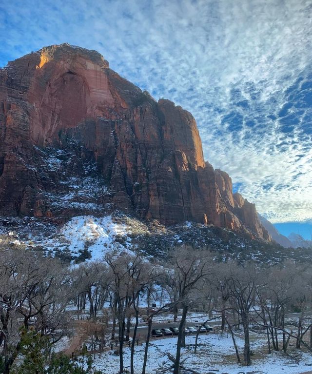 Go to Zion National Park for hiking and exploration.
