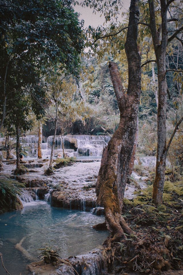 With a drone, see the panoramic view of Kuang Si Falls in Luang Prabang.