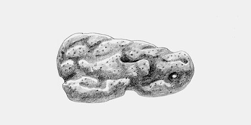 Chang Yuchen: Coral Dictionary–An Interpretation Performance | Amant - Géza