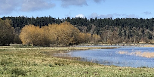 PAWA Paints Nisqually Wildlife Refuge 2024 | Billy Frank Jr. Nisqually National Wildlife Refuge