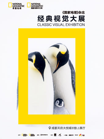 【新展】《國家地理》中文雜誌經典視覺大展|展覽休閒 | 成都天府大悦城B館L1展廳