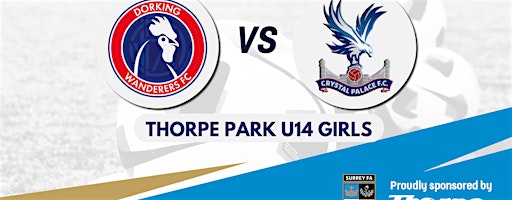 Surrey FA - Girls U14 - Thorpe Park - County Cup Final | Meadowbank Football Ground