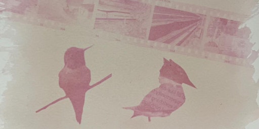 Radical Darkroom: Greening the Darkroom | Art Gallery of Burlington