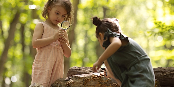 Nene Wetlands Little Bugs Club | Nene Wetlands Visitor Centre