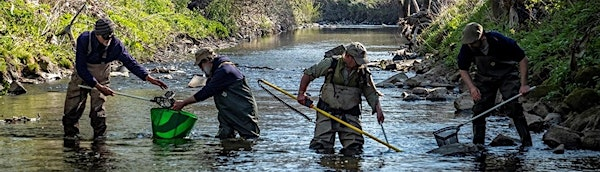 River Worth Friends 'Trout in the Town' Urban Conclave 2nd & 3rd July 2025 | Keighley