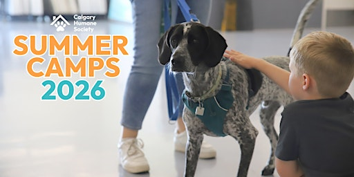 CHS Summer Camp: Volun-Teens (Grades 7-9) - July 27th - 31st | Calgary Humane Society