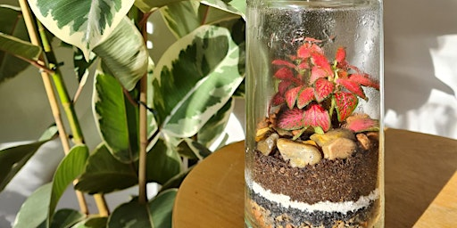 Terrarium Workshop at Attenborough Nature Reserve | Attenborough Nature Reserve - Parking at ANC