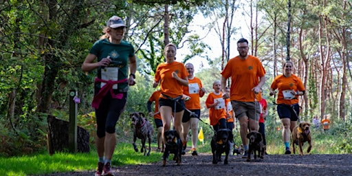 Lewis-Manning Hospice Care's Muddy Dog Dash  - Avon Heath Country Park | Avon Heath Country Park