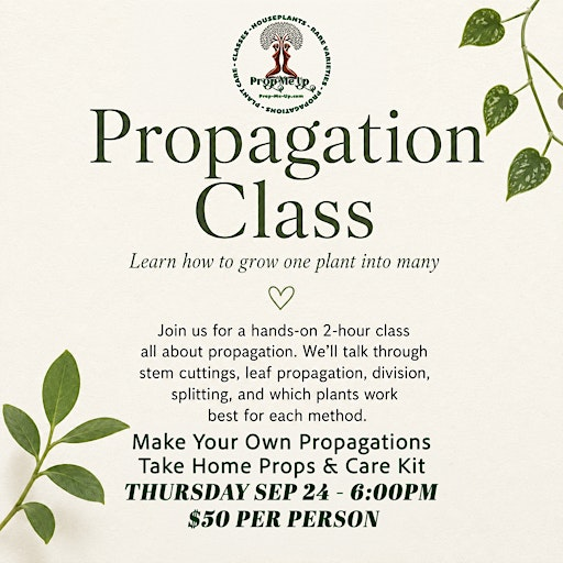 The Art Of Propagation | Prop Me Up
