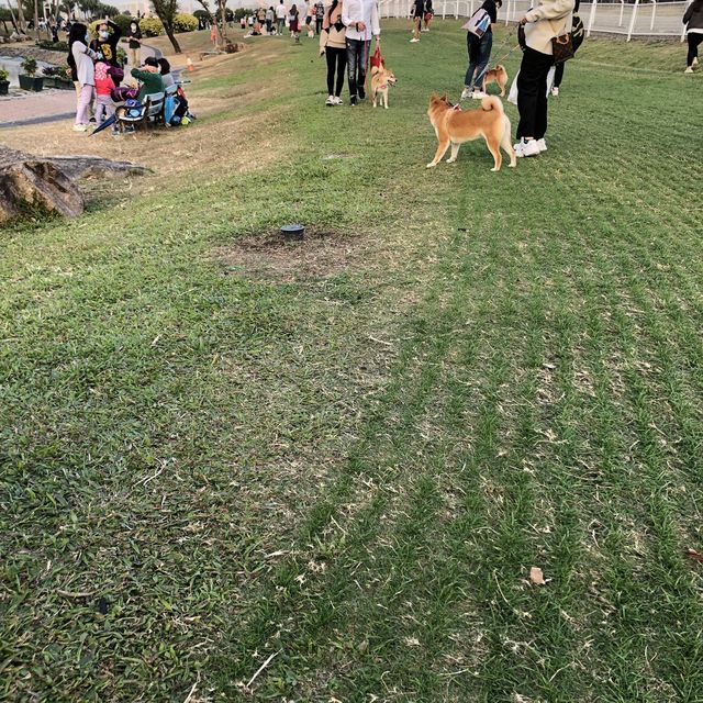 香港探險日記 之 大埔海濱公園