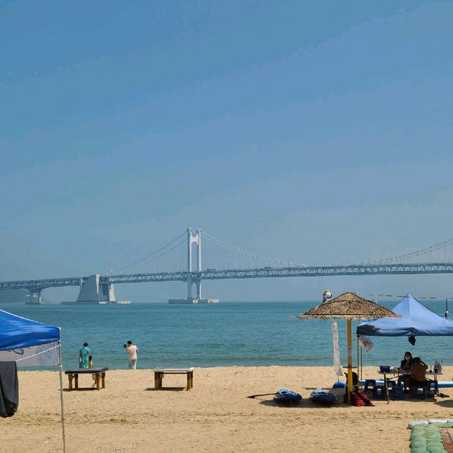 광안리 해수욕장 뷰를 마시는 카페 '할리스'