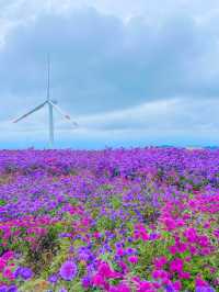 끝없는 보라색, 거창 감악산💜