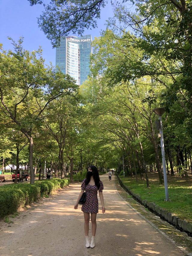 피크닉하며 힐링하기 좋은, 서울숲🌳