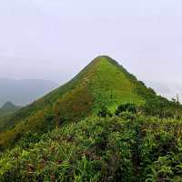 薄刀屻