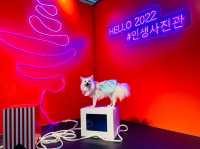 人生照相館II 帶埋主子去打卡 20+韓風拍攝場景
