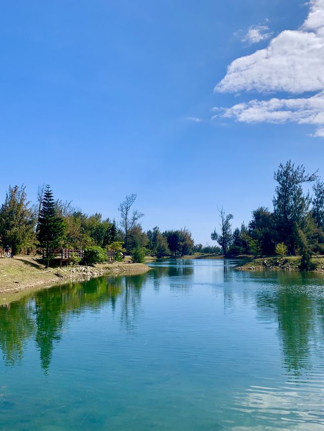 台東森林公園秘境探索｜快來這裡拍美照吧😍