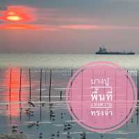 บางปู ธรรมชาติเยียวยาใจฉัน 🕊🕊