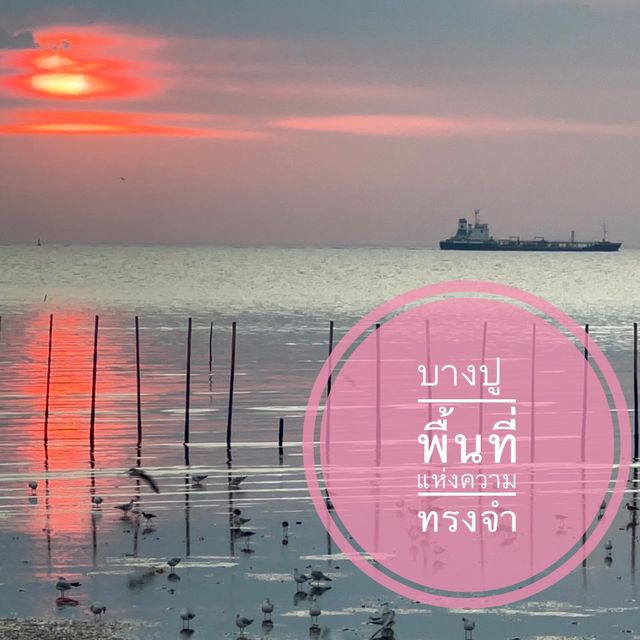 บางปู ธรรมชาติเยียวยาใจฉัน 🕊🕊