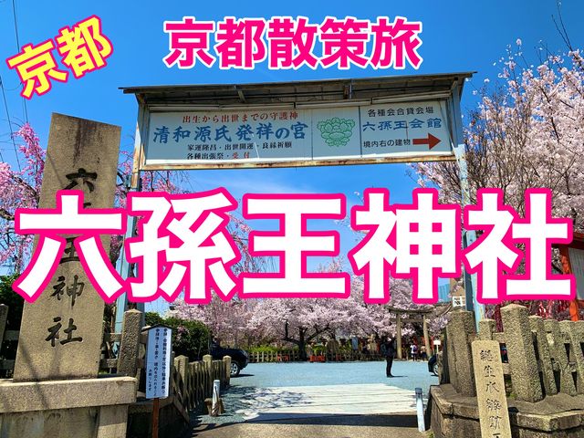京都　京都散策旅　六孫王神社の桜に感動❗️