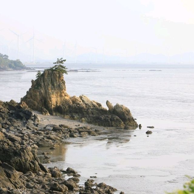 영광 백수해안