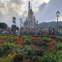 🏰迪士尼樂園賞花攻略🌺
