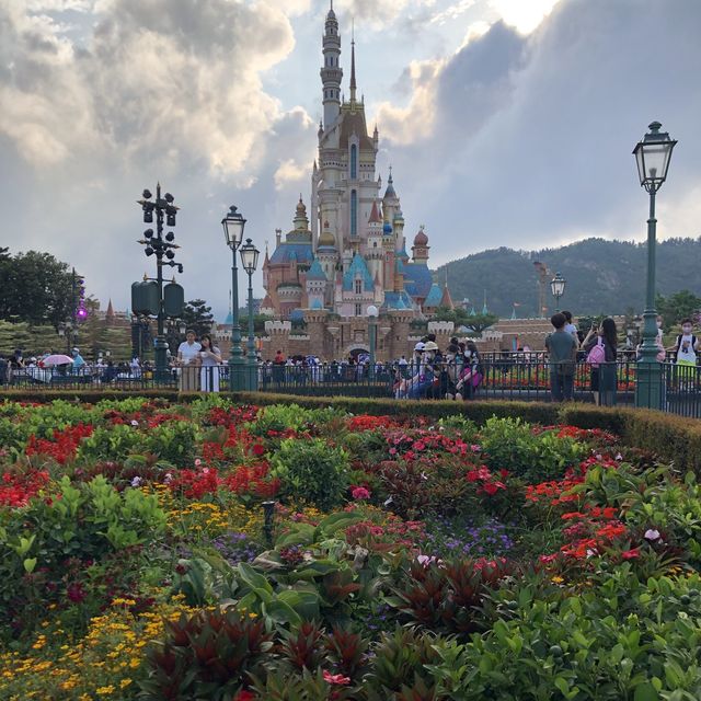 🏰迪士尼樂園賞花攻略🌺