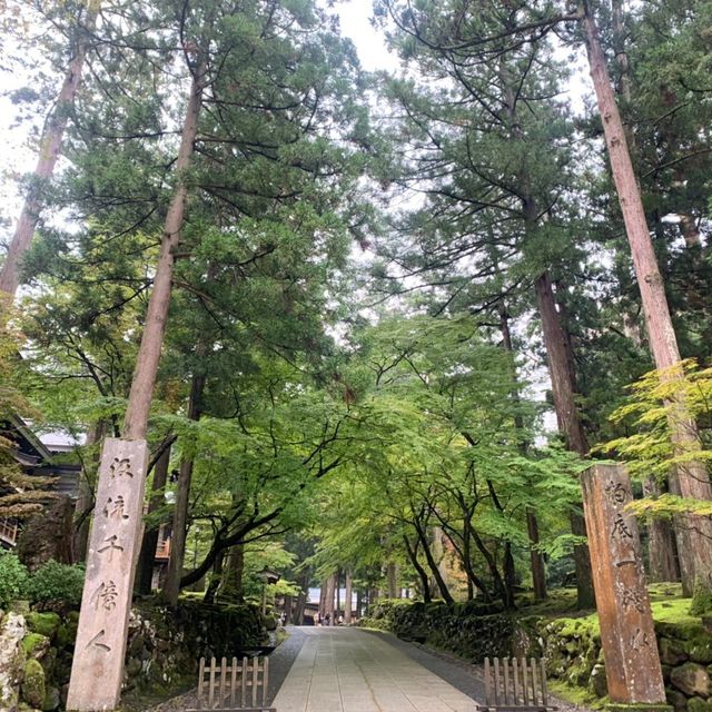 福井県にある永平寺にやってきた！