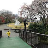 彫刻の森美術館でアートにふれて遊ぶ