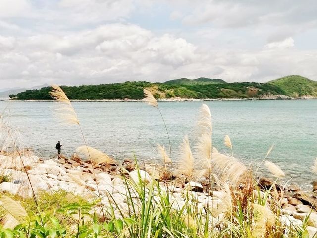 西貢高流灣 西貢高流灣