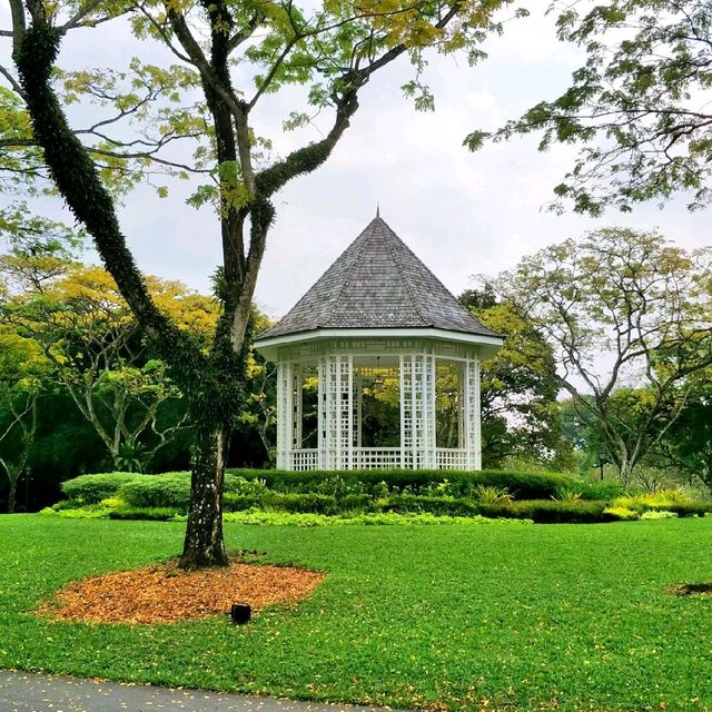 MorningWalk @SingaporeBotanicGarden