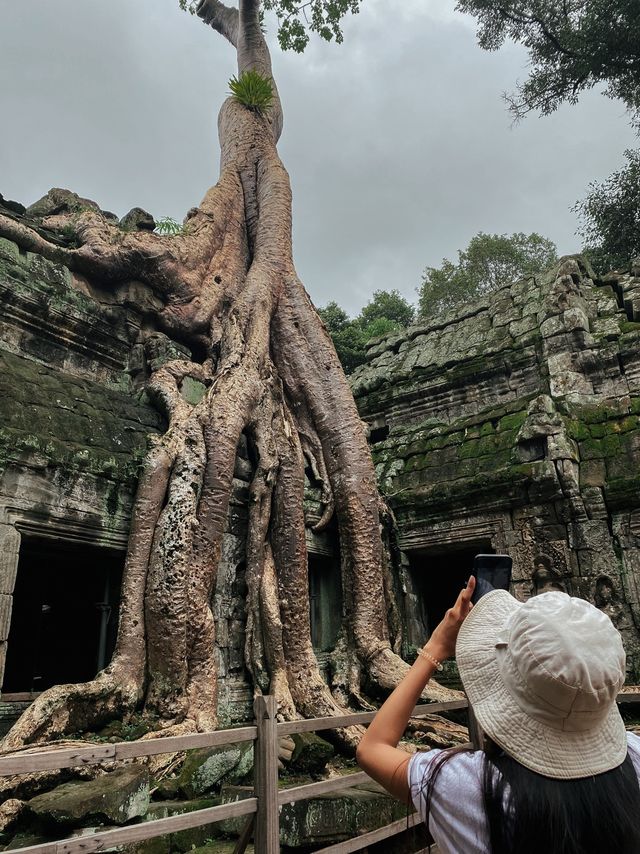 "ปราสาทตาพรหม" ประเทศกัมพูชา🇰🇭