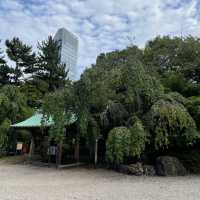 【東京都】東京タワーをバックに増上寺