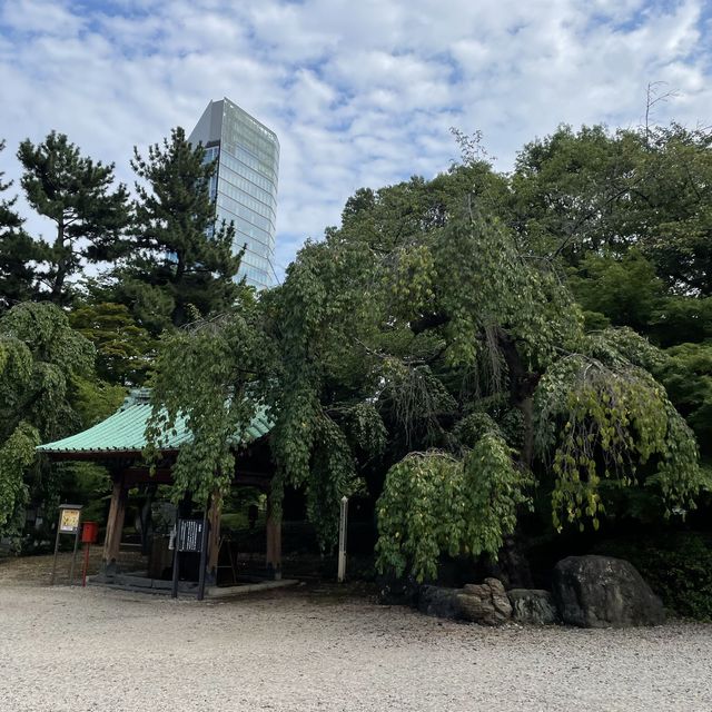 【東京都】東京タワーをバックに増上寺