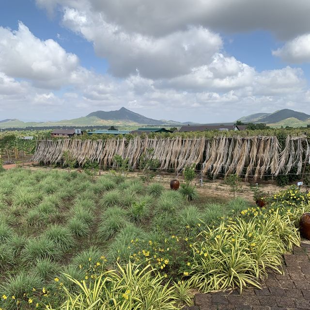 Retreat to pepper farm in Cambodia!