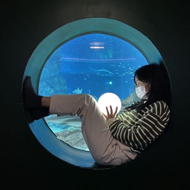 바닷속을 도시로 통채로 옮겨놓다🐳