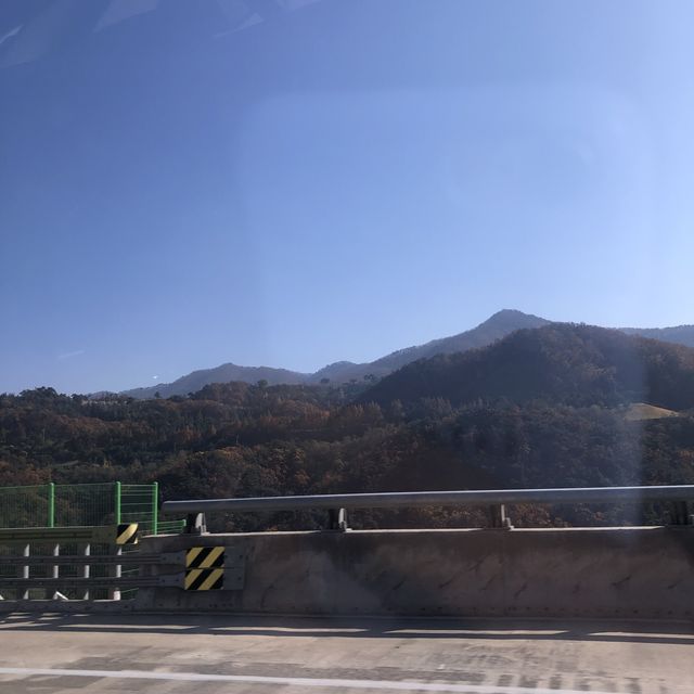 단풍 보러 떠난 단양 여행 -1