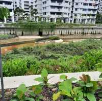 An EcoPark in Tampines 