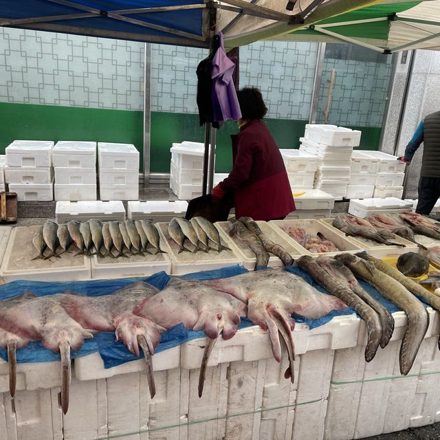 원주 민속풍물시장 장터 구경하기 