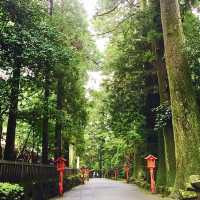 【日本 箱根】必去景點！水上平和鳥居