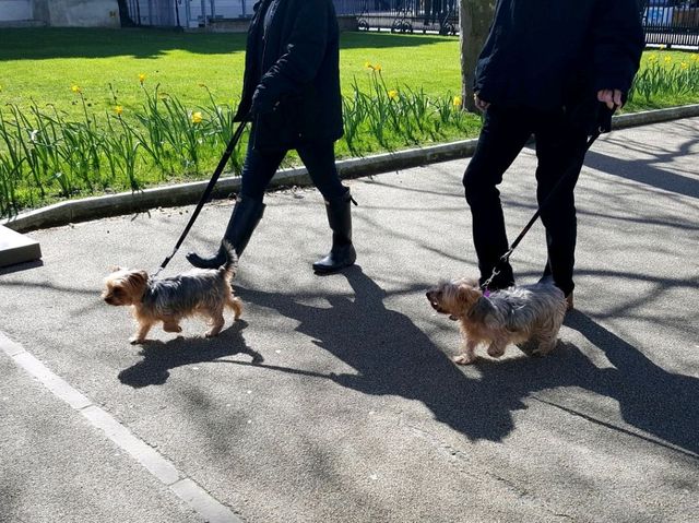 A Great Day out! 