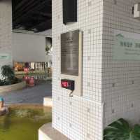 礁溪長榮鳳凰酒店//5樓SPA區&室外游泳池