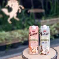 คาเฟ่ Pacamara x UFC Velvet มีเครื่องดื่มใหม่ 