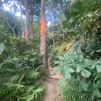 ผาหินดำ ภูเก็ต วิว แบบ 360 องศา 