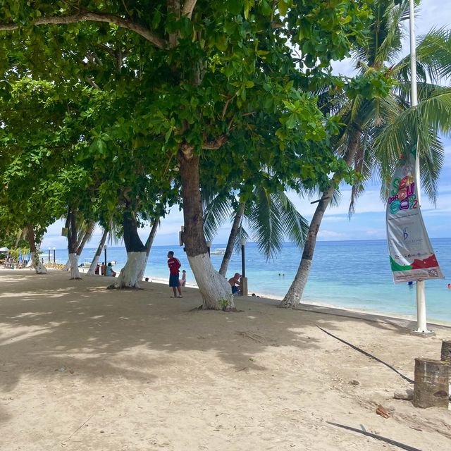 Beautiful Beach 