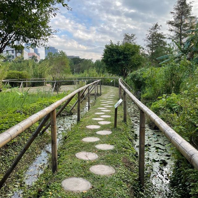 Macau Wetland of  Beach Avenue, Taipa