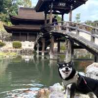 きれいな庭園と国宝の建物、土岐川を望む事も出来る歴史ある禅寺