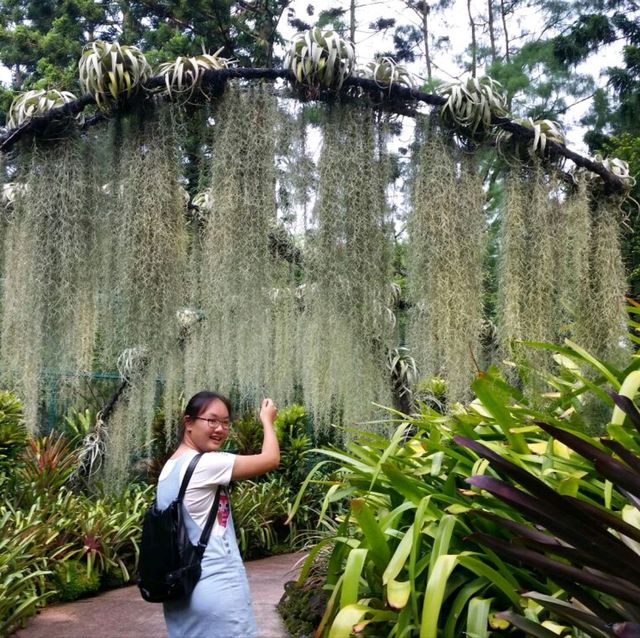 1st trip to Botanic Garden 