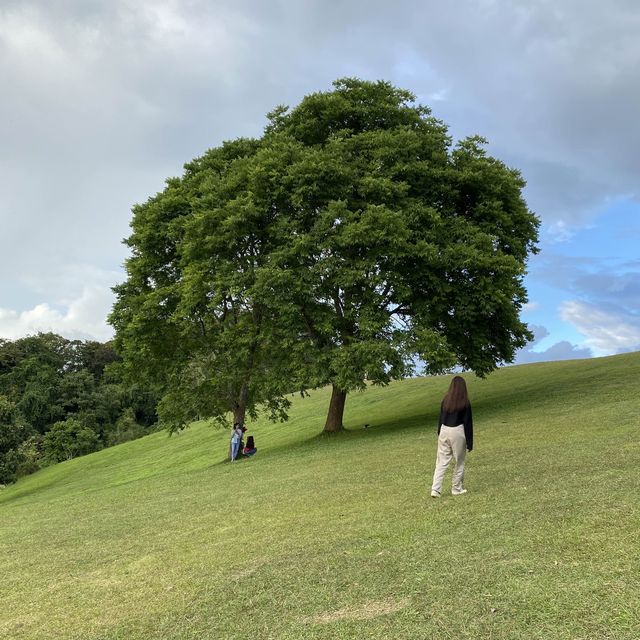 ดอยเสมอดาว ⛰️💫