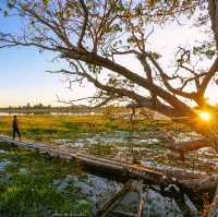 ทะเลบัวแดง จังหวัดกาฬสินธุ์